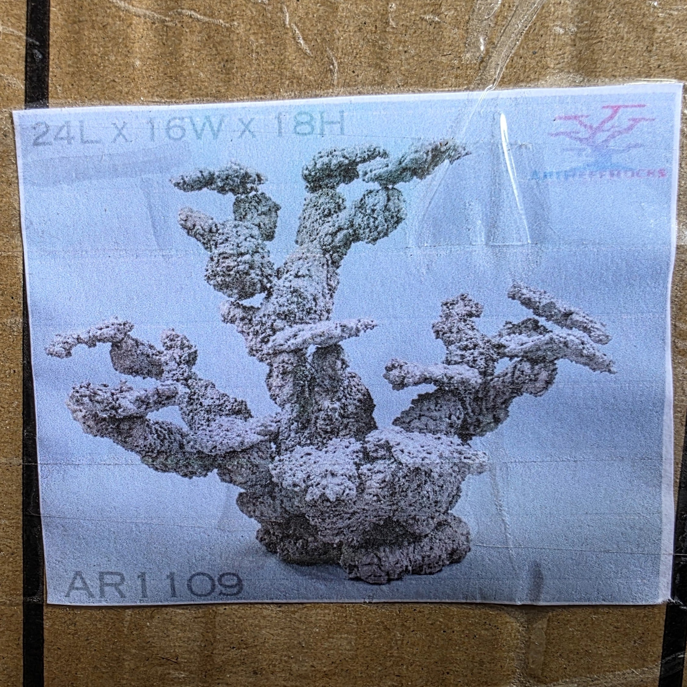 Art Reef Rocks - AR1109