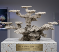 Art Reef Rocks - AR1943