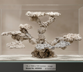 Art Reef Rocks - AR2028