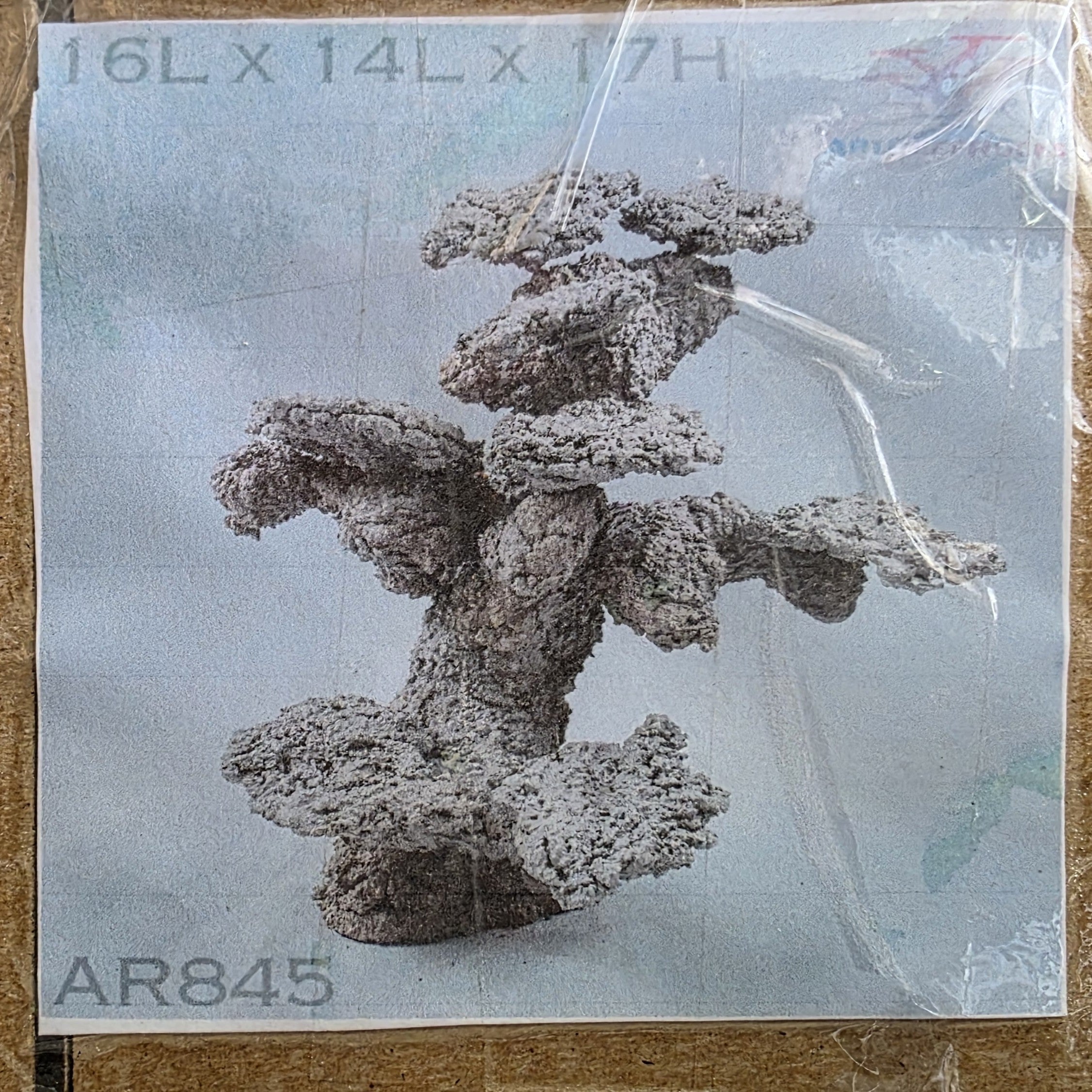 Art Reef Rocks - AR845