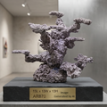 Art Reef Rocks - AR870