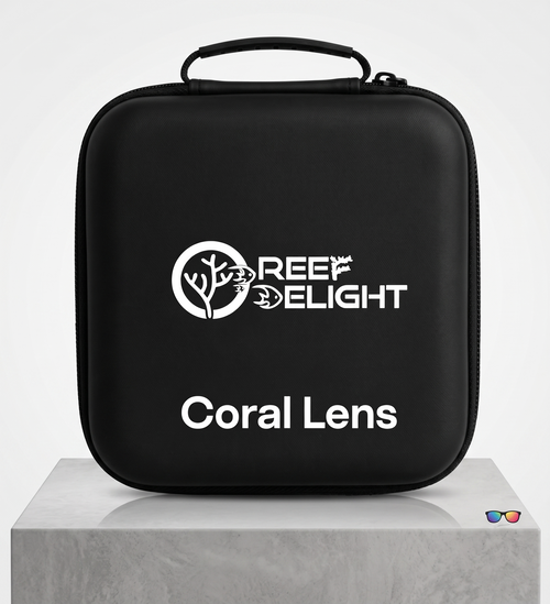 Reef Delight Coral Lens