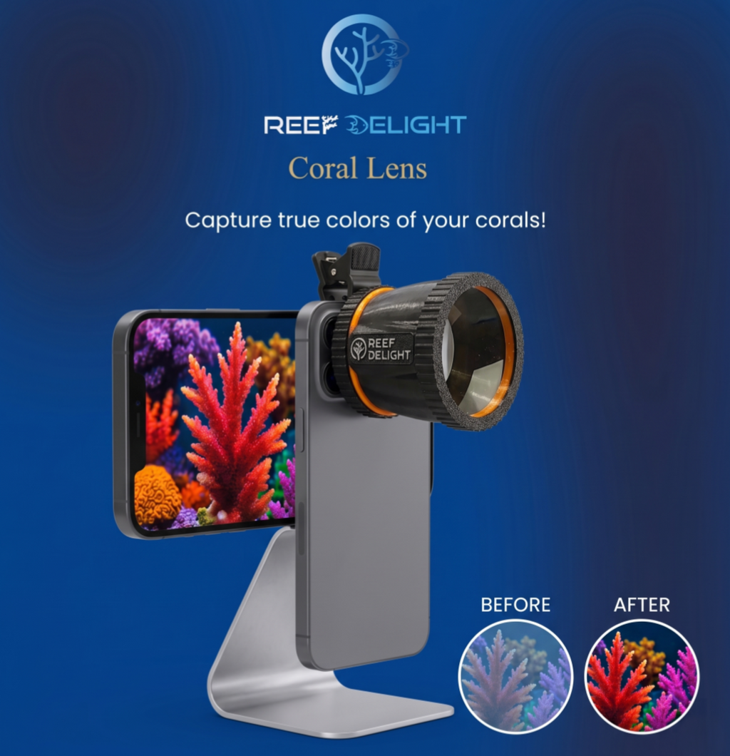 Reef Delight LensPort & Coral Lens